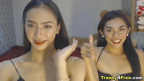 Busty asian shemale is fucked hard in her tight pussy