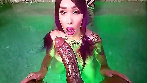 Tattooed brunette gets fucked by black dude in POV